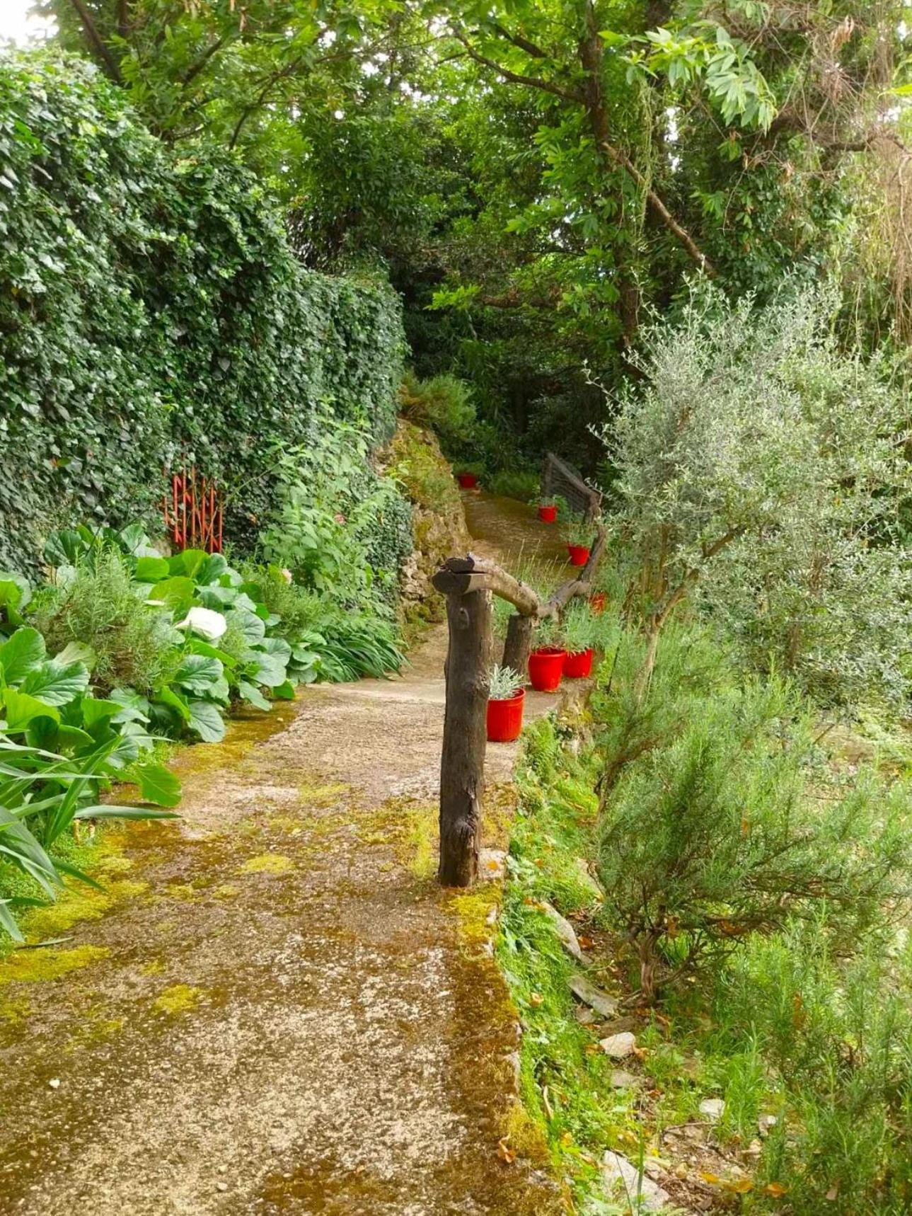 Holiday home The Four Angels Massa (Tuscany)